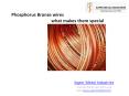 Phosphorus Bronze wires - what makes them special PowerPoint PPT Presentation