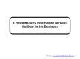 6 Reasons Why Wild Rabbit Aerial is the Best in the Business PowerPoint PPT Presentation