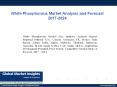PPT for White Phosphorous Market Research Analysis, 2017 PowerPoint PPT Presentation