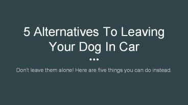 5 Alternatives to Leaving Your Dog In Car