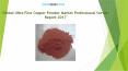 Global Ultra Fine Copper Powder Market Professional Survey Report 2017 PowerPoint PPT Presentation