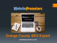 Orange County SEO Expert - Websitepromoters.com