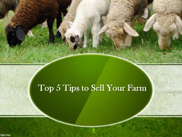 Top 5 Tips to Sell Your Farm