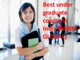 (MIBM GLOBAL) Best under graduate course in India PowerPoint PPT Presentation