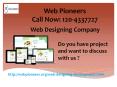 Web Desigining and Development Compnay in Noida | Web Pioneers
