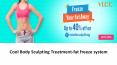Cool Body Sculpting Treatment -Fat freeze system PowerPoint PPT Presentation