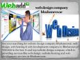 Website Design Company Bhubaneswar- Web design & Development Bhubaneswar PowerPoint PPT Presentation