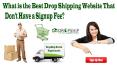 What is the Best Drop Shipping Website that Don't Have a Signup Fee? PowerPoint PPT Presentation