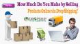 How Much Do You Make by Selling Products Online via Drop Shipping? PowerPoint PPT Presentation