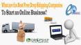 What are the Best Free Drop Shipping Companies to Start an Online Business? PowerPoint PPT Presentation