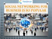 Social Networking For Business Is So Popular