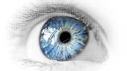 cornea
