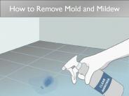 How to Remove Mold and Mildew