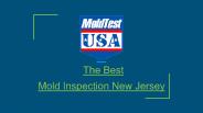 Mold Inspection New Jersey
