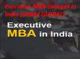 (MIBM GLOBAL) Executive MBA colleges in India PowerPoint PPT Presentation