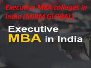 (MIBM GLOBAL) Executive MBA colleges in India