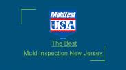 Mold Inspection New Jersey (1)