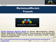 Global Protein Hydrolysis Enzymes Market