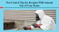 Pest Control Tips for Keeping Wild Animals Out of Your Home PowerPoint PPT Presentation