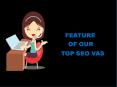 Feature of  our Top  SEO VAs the Affordable Seo Services PowerPoint PPT Presentation