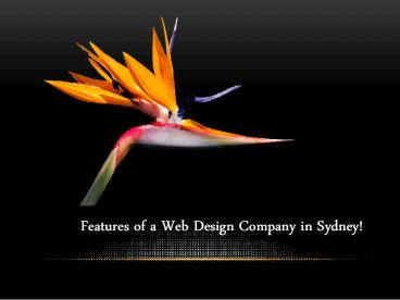 Features of a Web Design Company in Sydney!