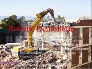 robotic demolition