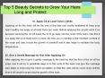  Top 5 Beauty Secrets for Grow Your Hairs Long and Protect PowerPoint PPT Presentation