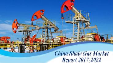 China Shale Gas Market Report 2017-2022