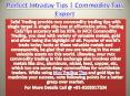 Perfect Commodity Tips, Mcx Trading Tips, Commodity Tips Expert Call @ +91-9205917204 PowerPoint PPT Presentation