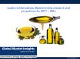Castor oil derivatives Market trends research and projections for 2017 – 2024 PowerPoint PPT Presentation