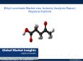 Ethyl Levulinate Market Size Price Trends, Competitive Market Share & Forecast, 2017 – 2024 PowerPoint PPT Presentation