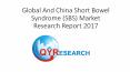 Global And China Short Bowel Syndrome (SBS) Market Research Report 2017 PowerPoint PPT Presentation