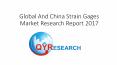 Global And China Strain Gages Market Research Report 2017 PowerPoint PPT Presentation