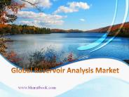 Global Reservoir Analysis Market