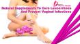 Natural Supplements To Cure Leucorrhoea And Prevent Vaginal Infections PowerPoint PPT Presentation