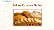 Baking Enzymes Market