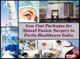 Low Cost Packages for Spinal Fusion Surgery in Fortis Healthcare India PowerPoint PPT Presentation