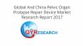 Global And China Pelvic Organ Prolapse Repair Device Market Research Report 2017 PowerPoint PPT Presentation