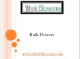 Bulk Flowers - www.wholeblossoms.com (1) PowerPoint PPT Presentation
