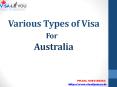 Different types of visa for people PowerPoint PPT Presentation
