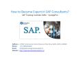 How to Become Expert in SAP Consultants – saptraininginstitutedelhi PowerPoint PPT Presentation