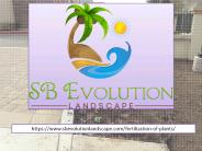 Garden Plant Fertilization in Santa Barbara