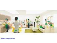 Cleaning Caroline Springs