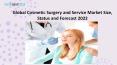 Global Cosmetic Surgery and Service Market Size, Status and Forecast 2022 PowerPoint PPT Presentation