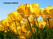 Digital Marketing Services  Best Company in Canada