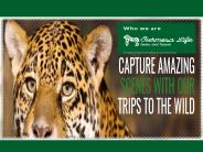 African SafariTours