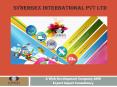 Synergex International Pvt Ltd PowerPoint PPT Presentation