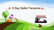 5 Day Safari Tanzania