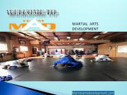 Martial Arts Development