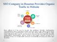 SEO Company in Houston Provides Organic Traffic to Website PowerPoint PPT Presentation